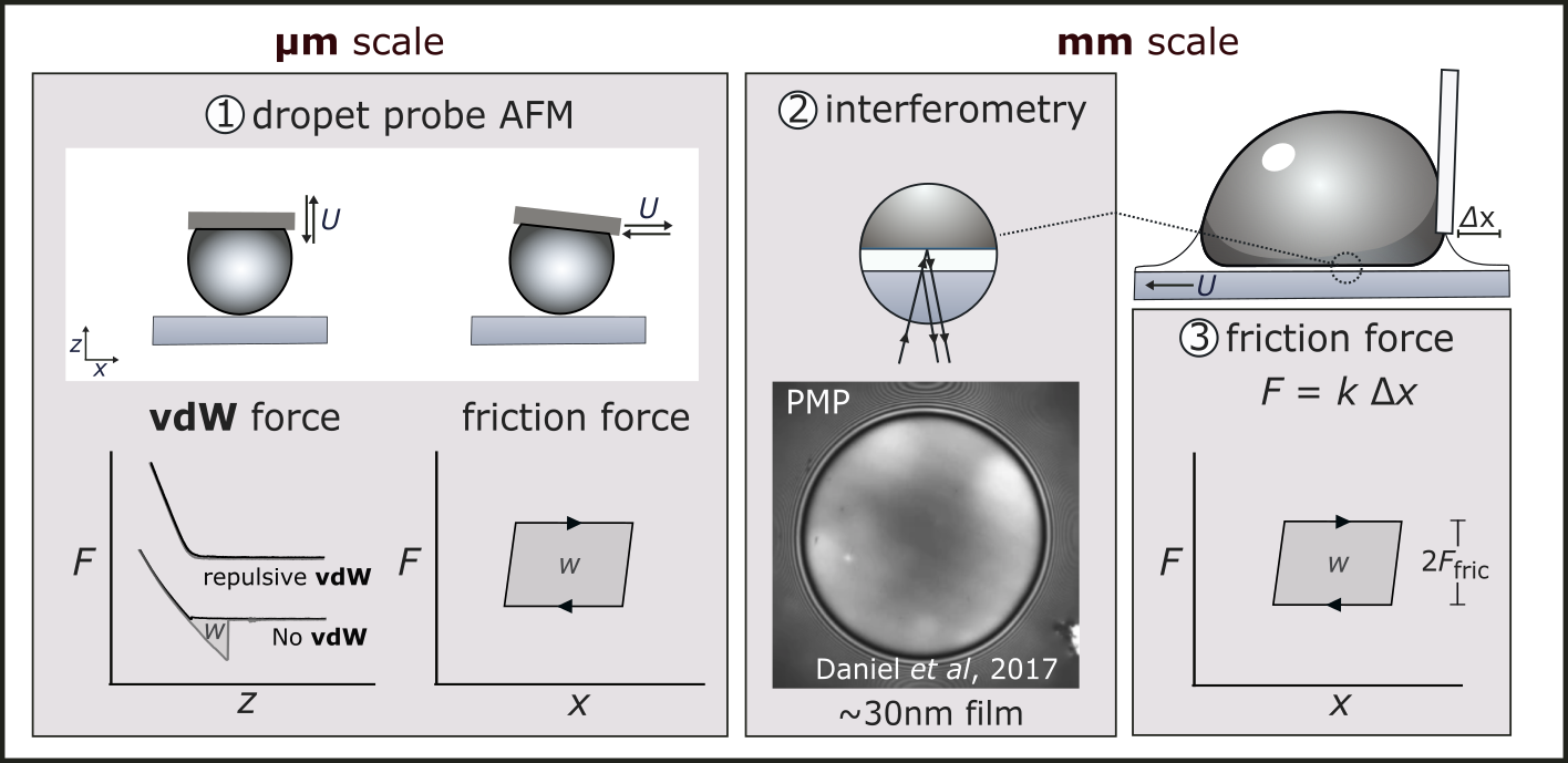 Schematic of droplet-probe AFM, thin-film interferometry, and cantilever-based friction force measurements.